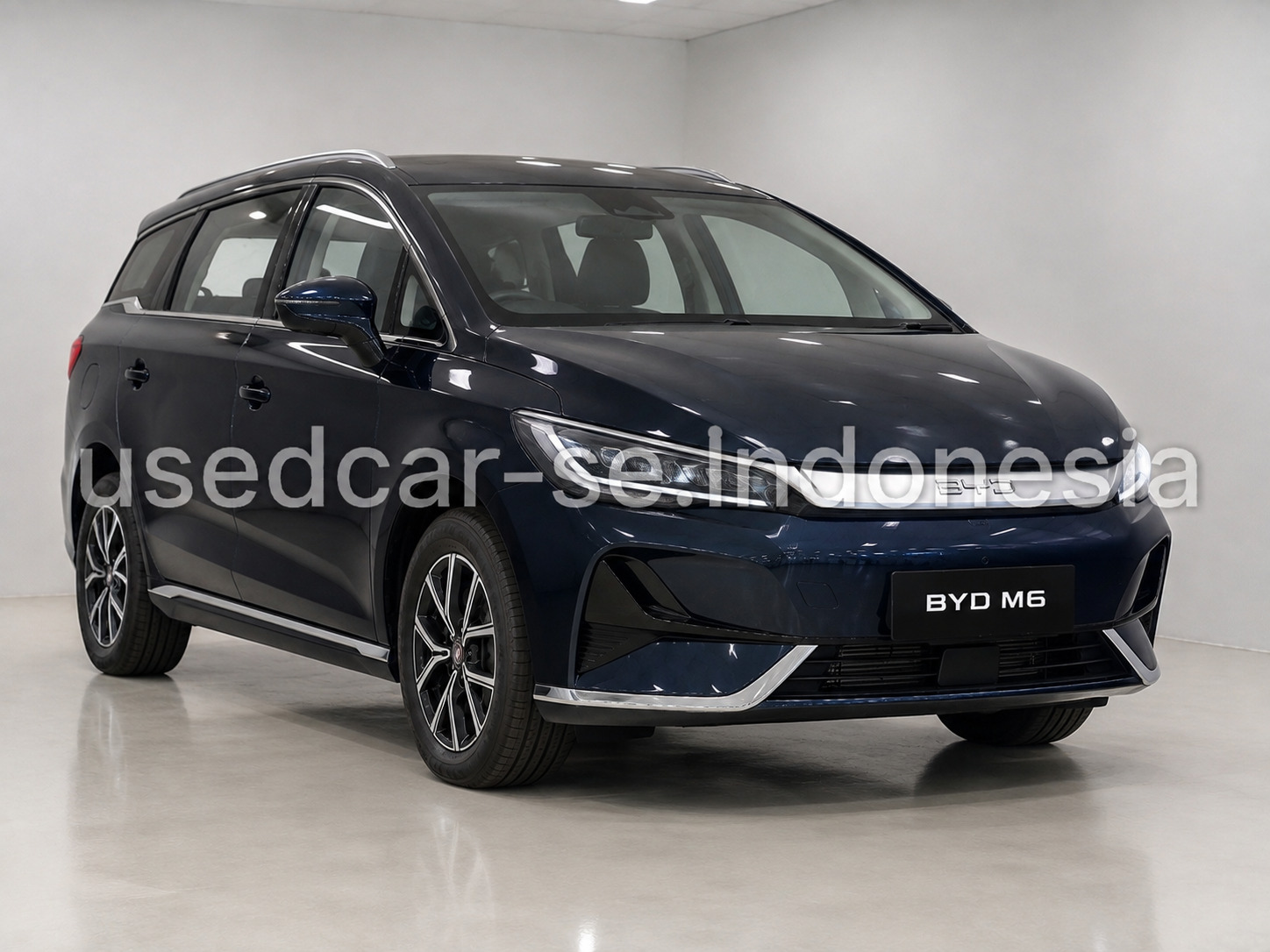 BYD M6